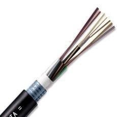 8оGYTA��ģ���|-�L(zh��ng)�w8о���w-�L(zh��ng)�w8о���|