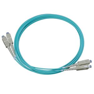 SC-CS�f�׶�ģ���w����