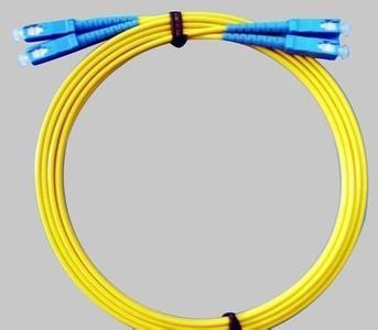 SC-SC��ģ���w����